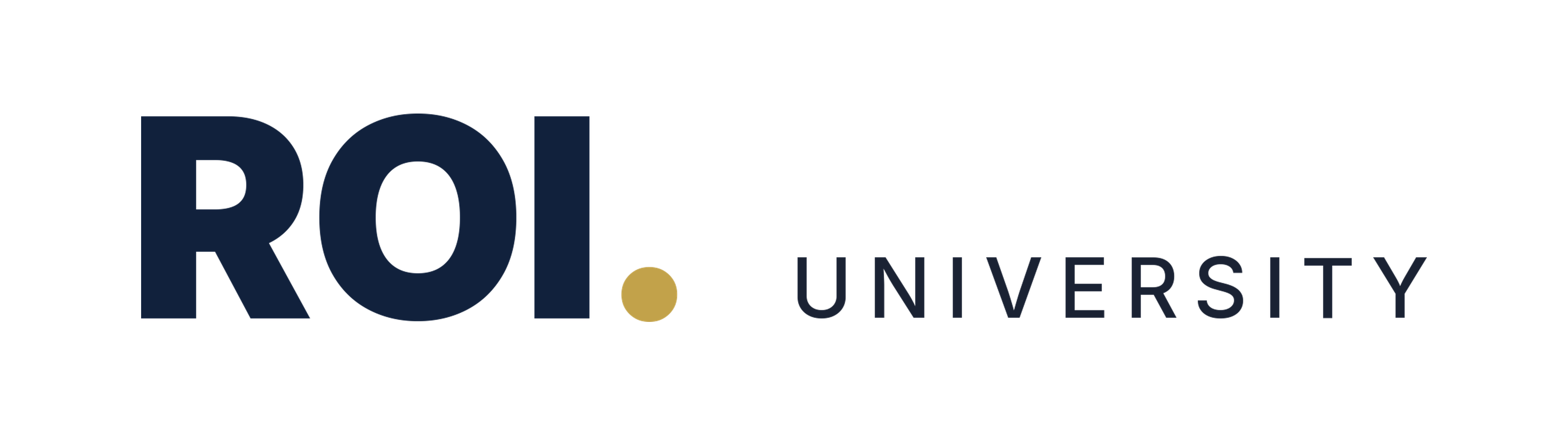 ROI University